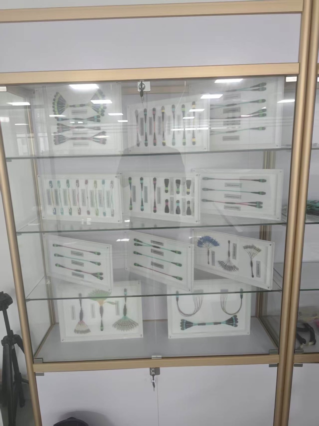 fiber optic assembly sample display for MTP MPO cable discussion